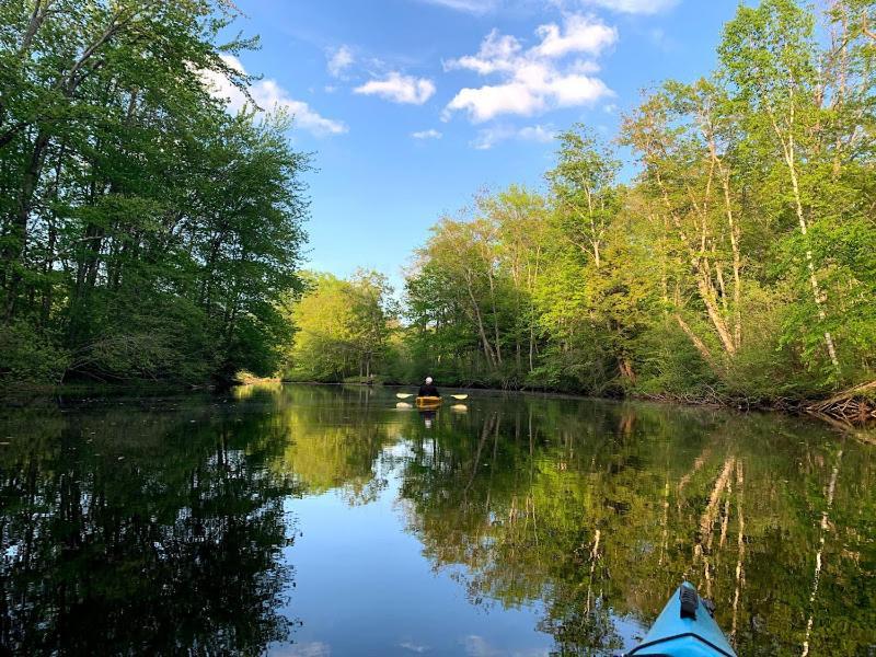 Beautiful Private Oasis - On The River'S Edge ケネバンク エクステリア 写真